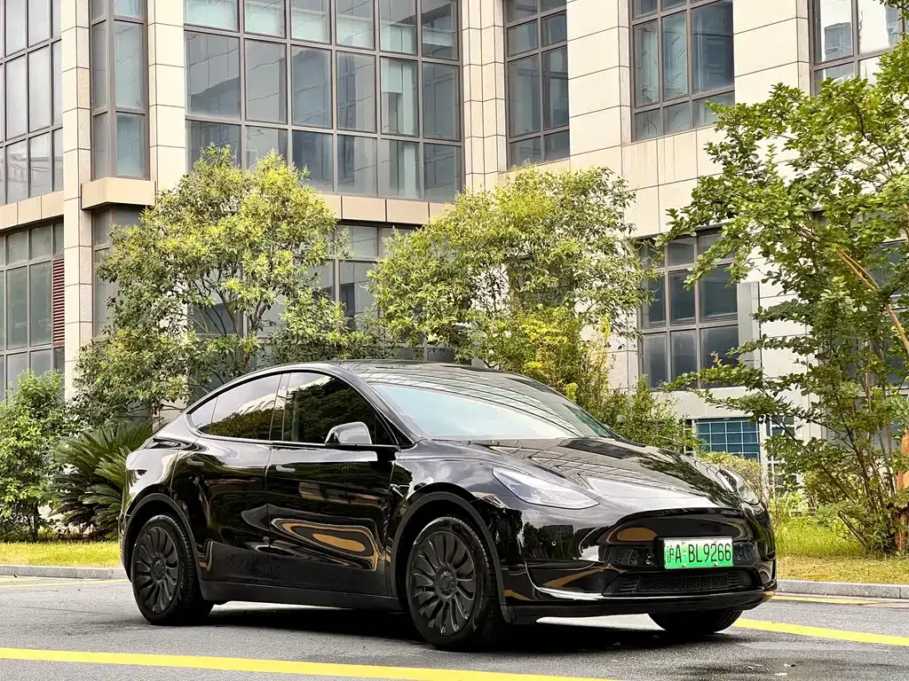 Tesla Model Y — фото 10