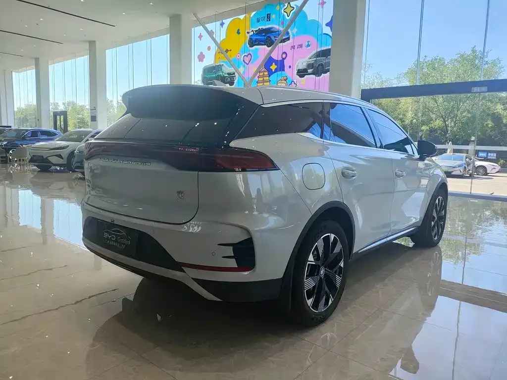 BYD Tang New Energy — фото 6