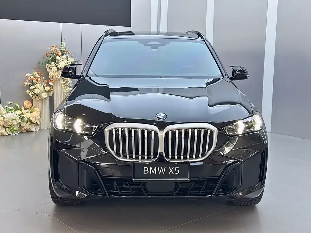 BMW X5 — фото 4