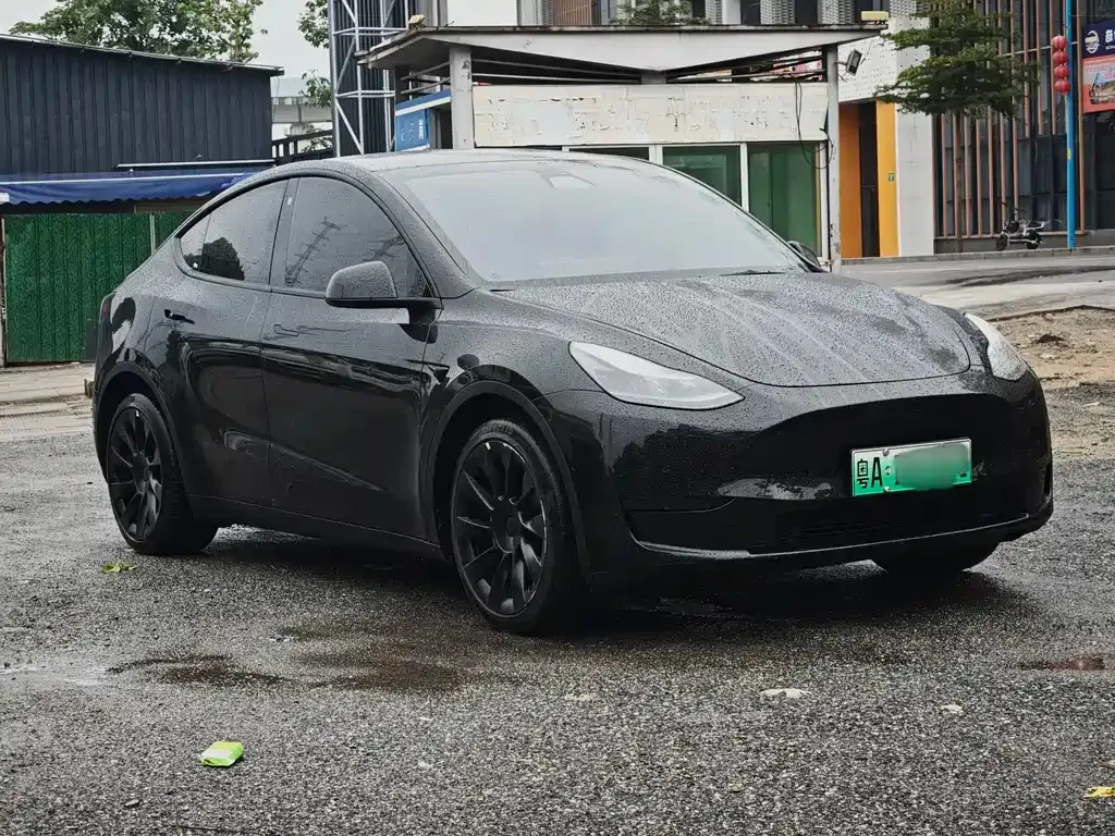 Tesla Model Y — фото 9