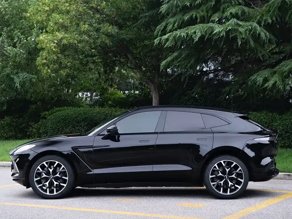 Aston Martin DBX — фото 10