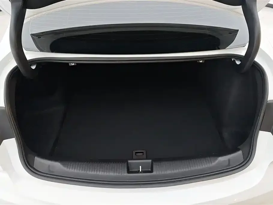 Buick Regal — фото 4