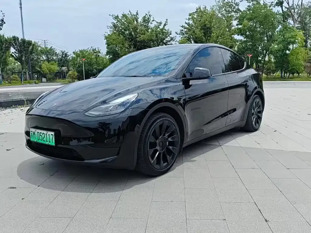Tesla Model Y — фото 1