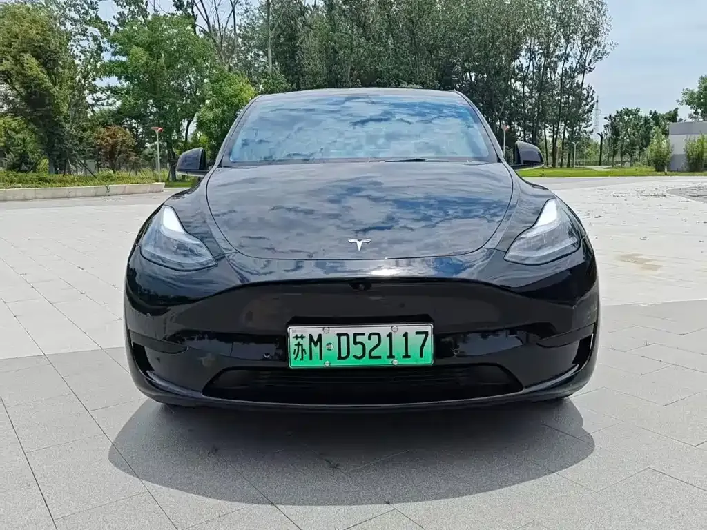 Tesla Model Y — фото 3