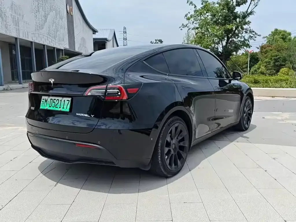 Tesla Model Y — фото 8