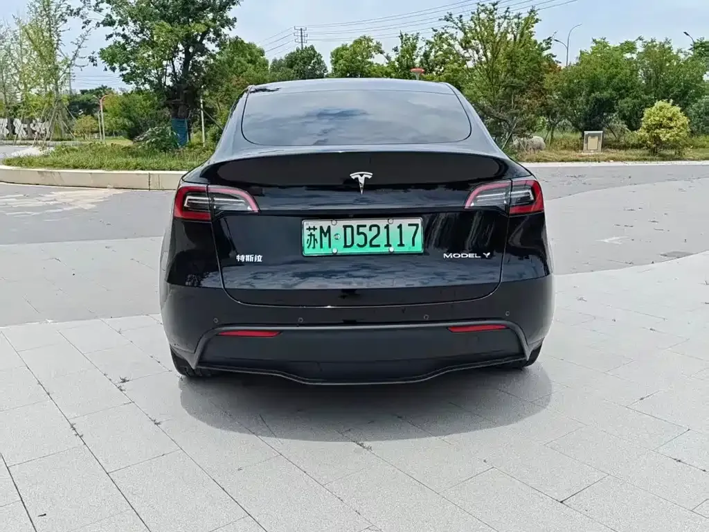 Tesla Model Y — фото 9