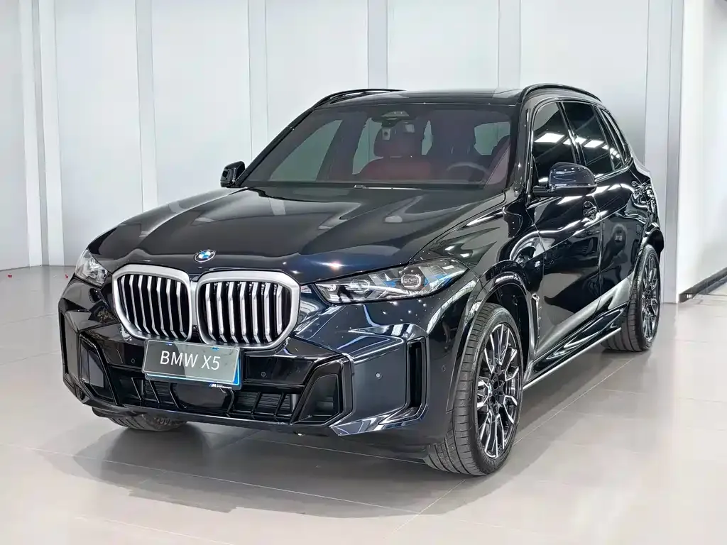 BMW X5 — фото 1