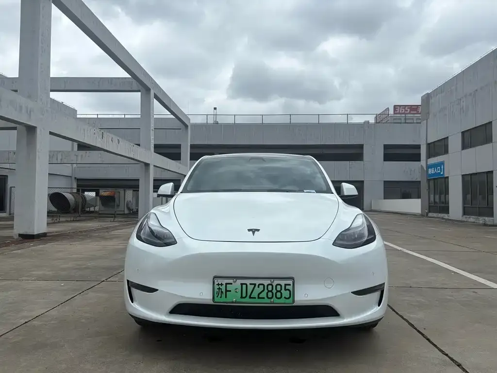 Tesla Model Y — фото 3
