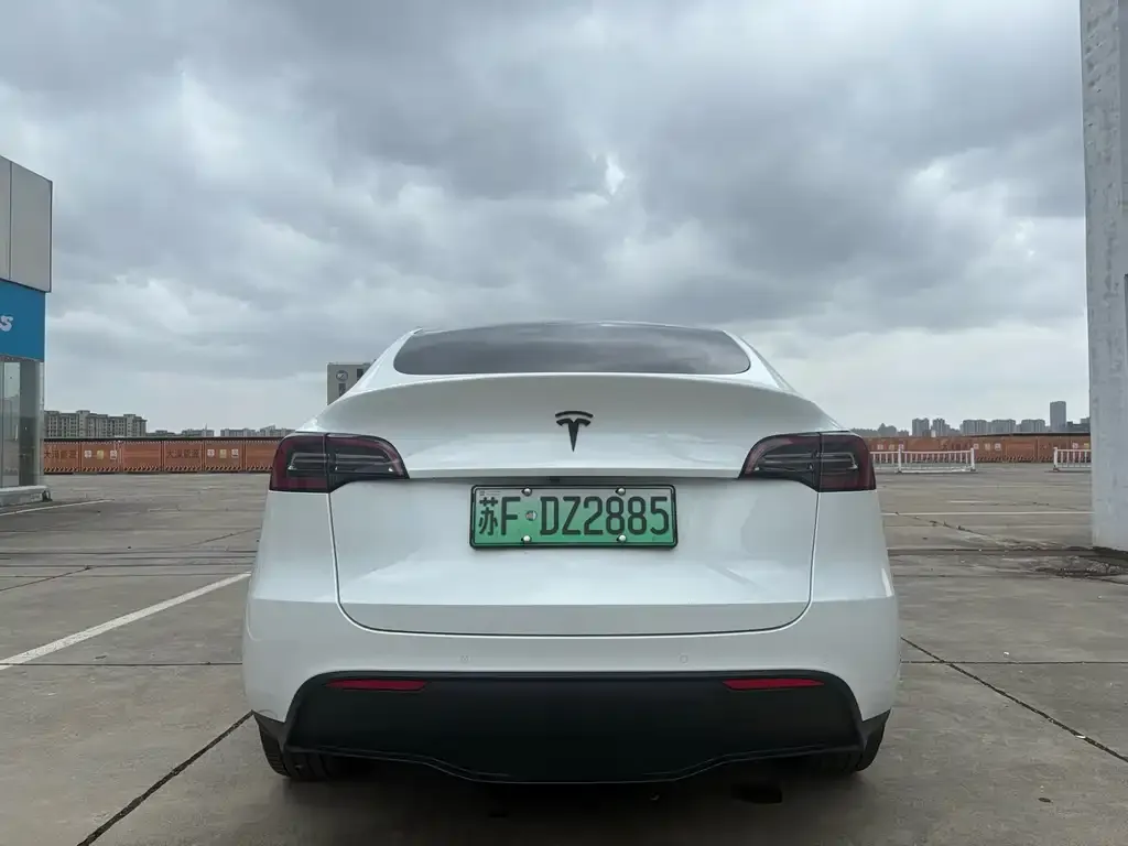 Tesla Model Y — фото 2