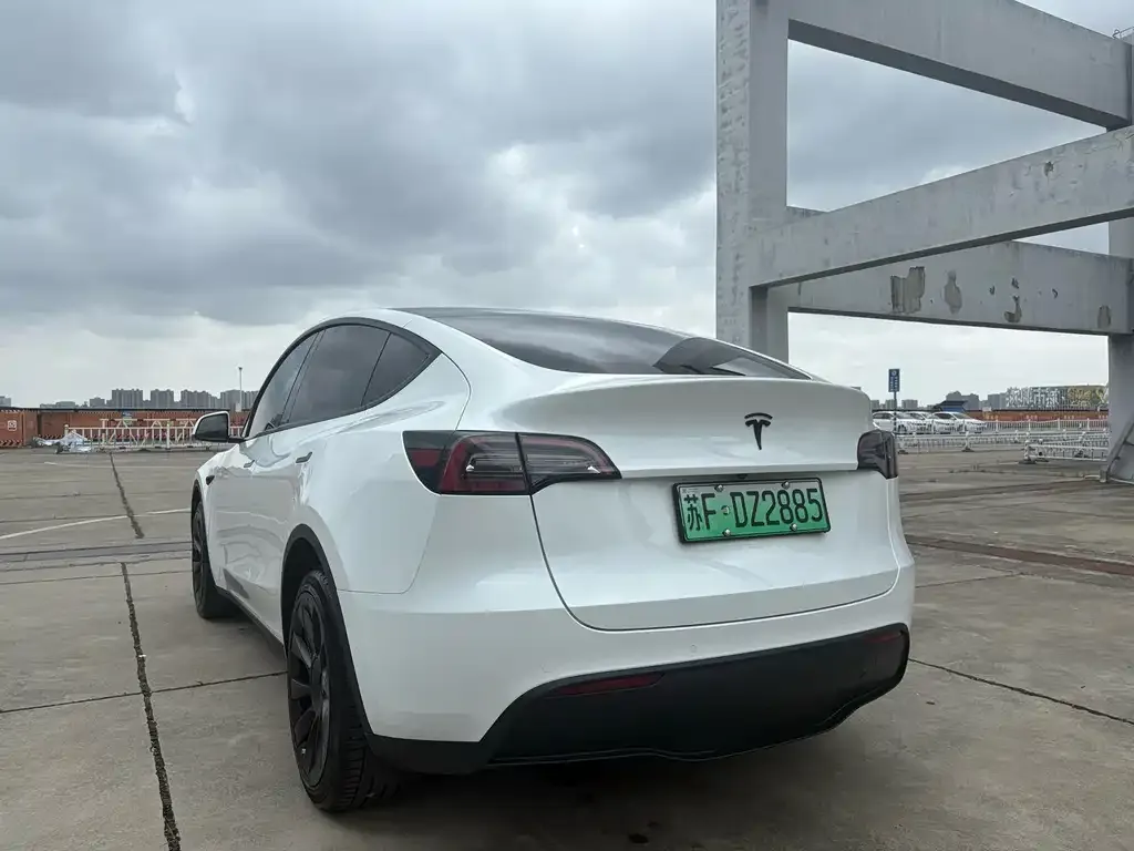 Tesla Model Y — фото 4