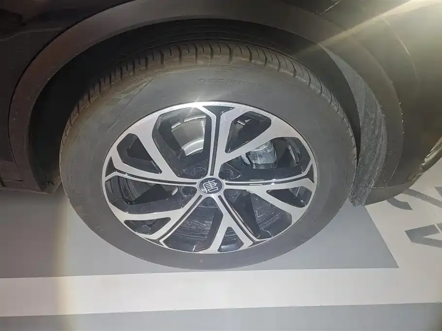 BYD Tang New Energy — фото 10