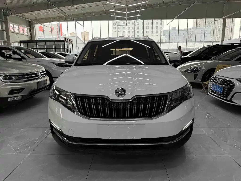 Skoda Kamiq 2023 из CN, фото 8