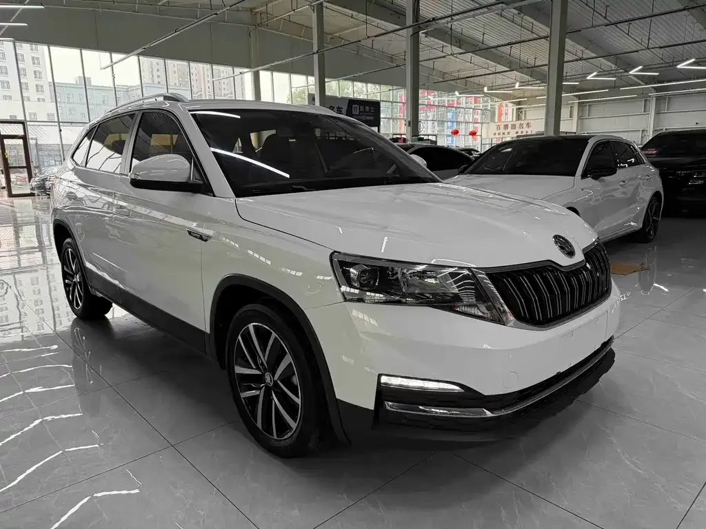 Skoda Kamiq 2023 из CN, фото 3
