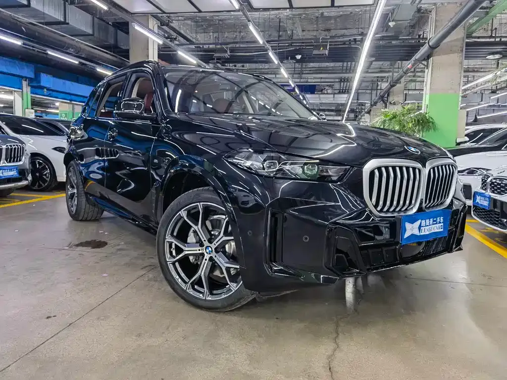 BMW X5 — фото 4