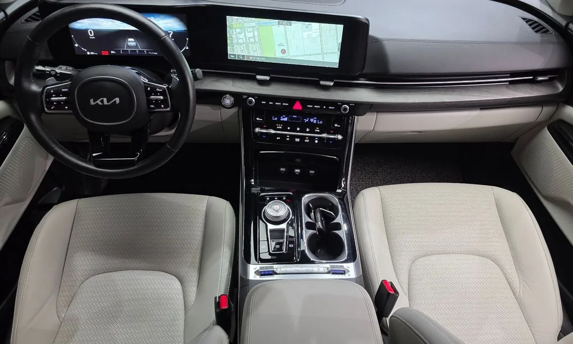 Kia Carnival — фото 10