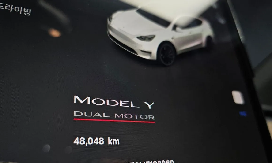Tesla Model Y 2021 из KR, фото 4