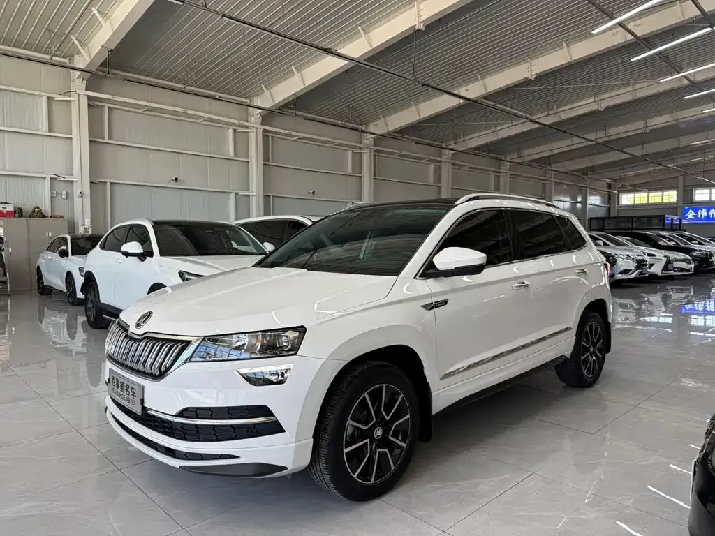 Skoda Karoq — фото 1