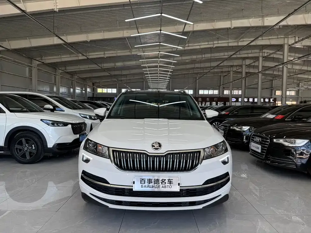 Skoda Karoq — фото 8