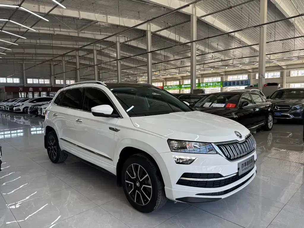 Skoda Karoq — фото 10