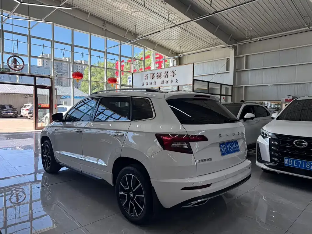 Skoda Karoq — фото 3