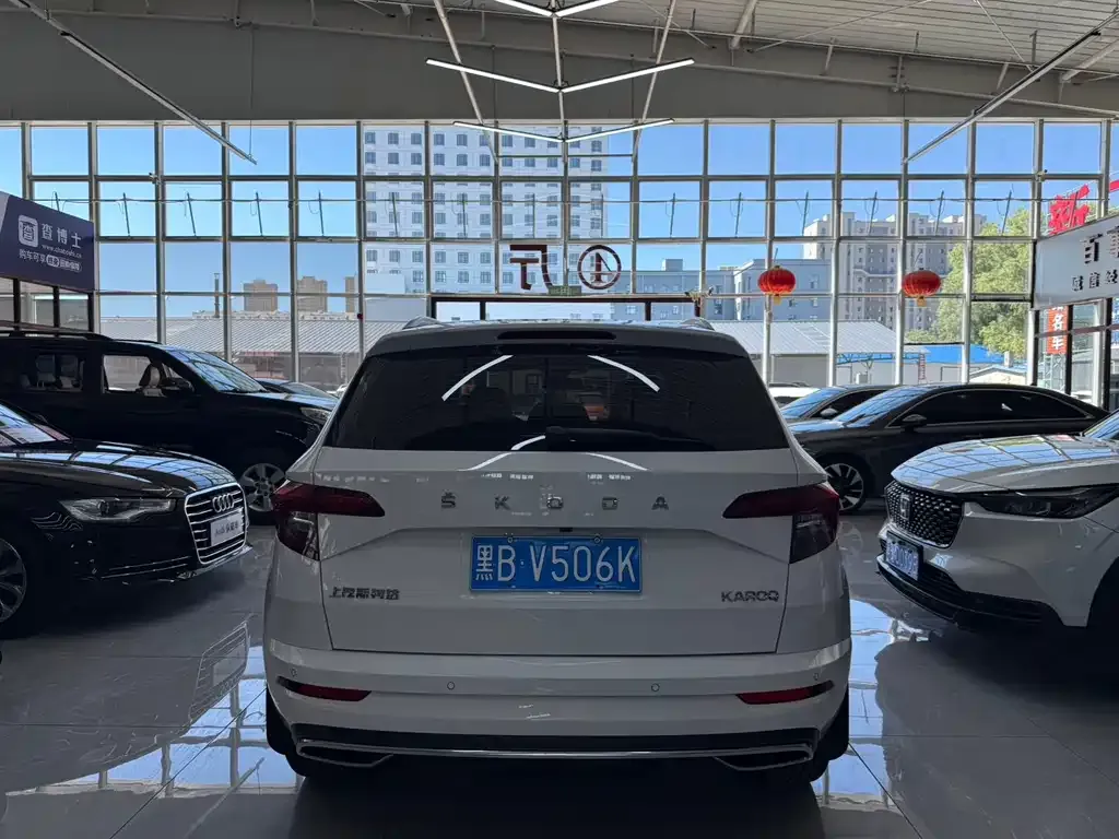Skoda Karoq — фото 6