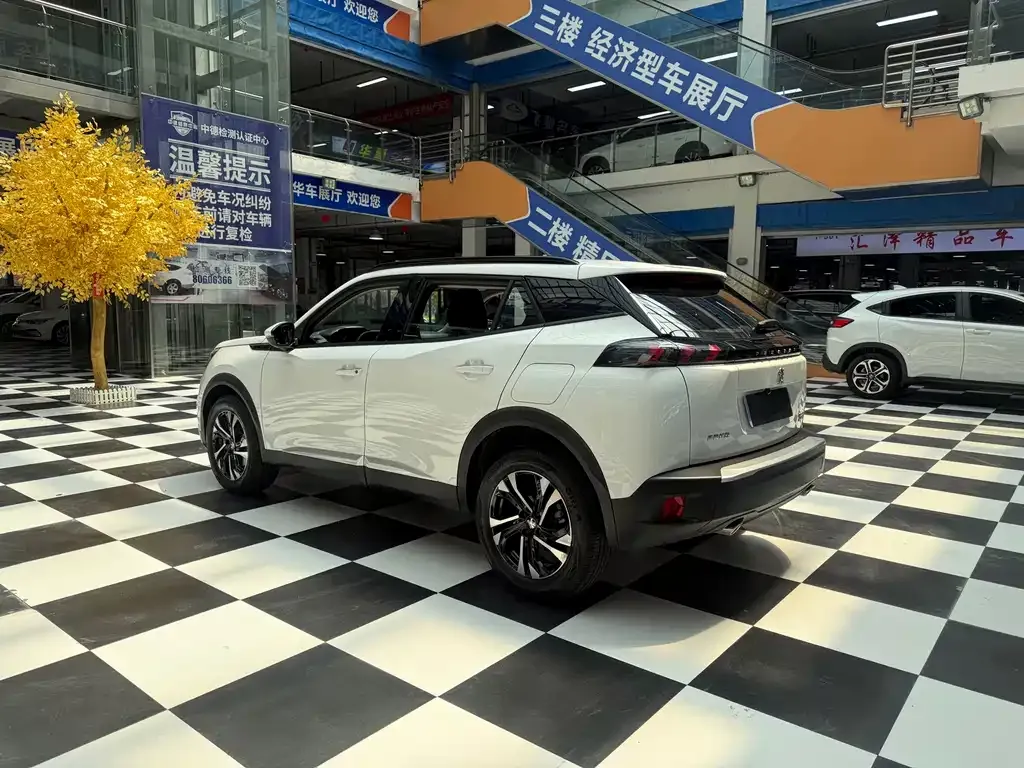 Peugeot 2008 2024 из CN, фото 8