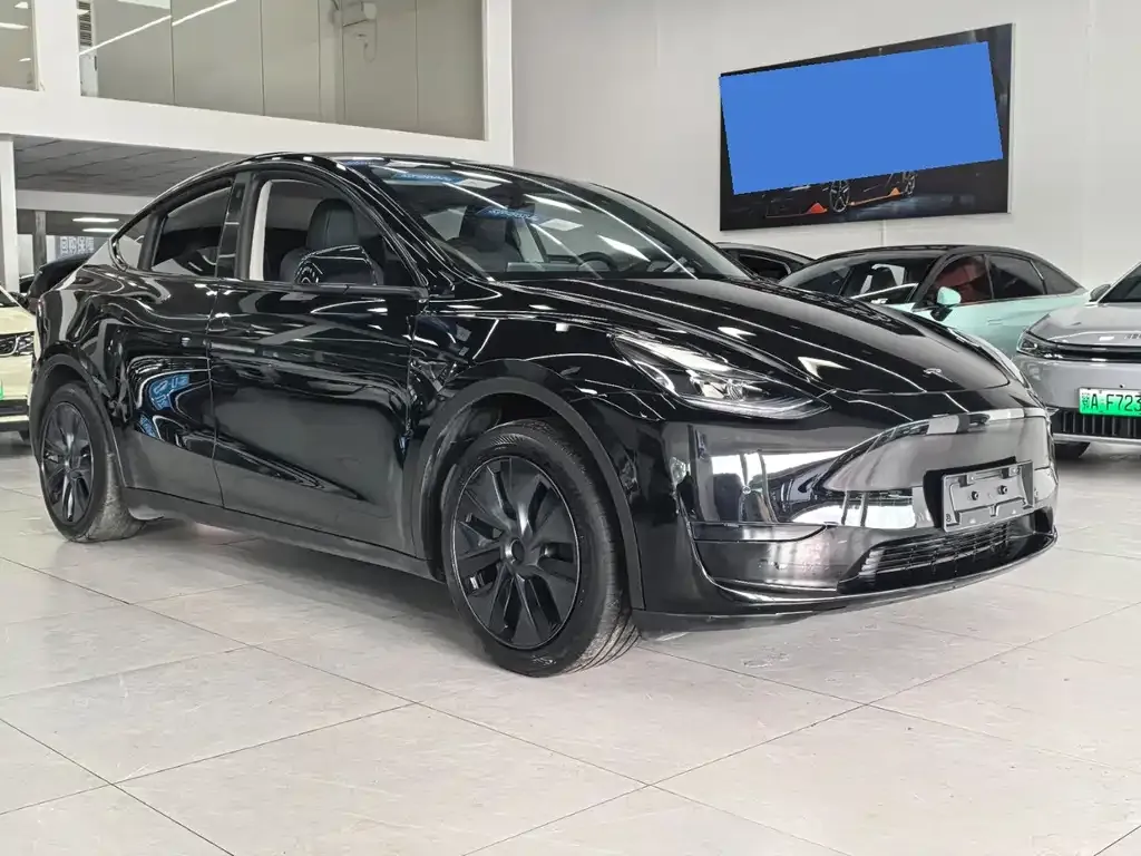 Tesla Model Y — фото 4