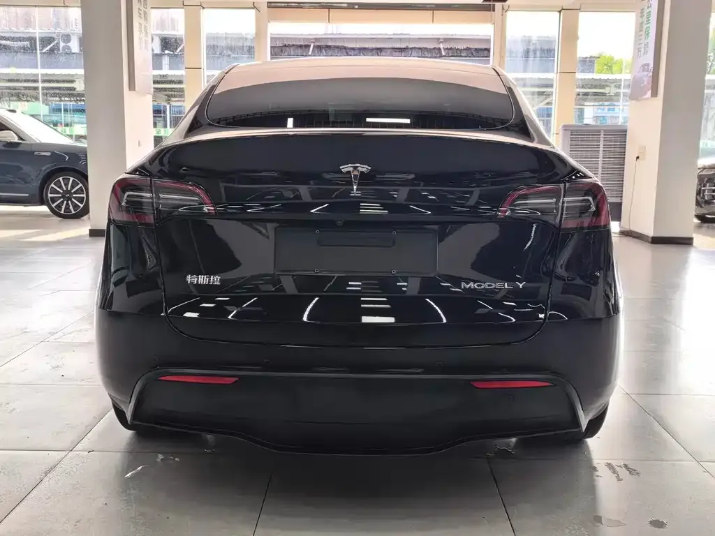 Tesla Model Y — фото 10