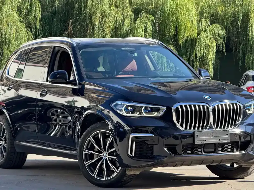 BMW X5 — фото 9