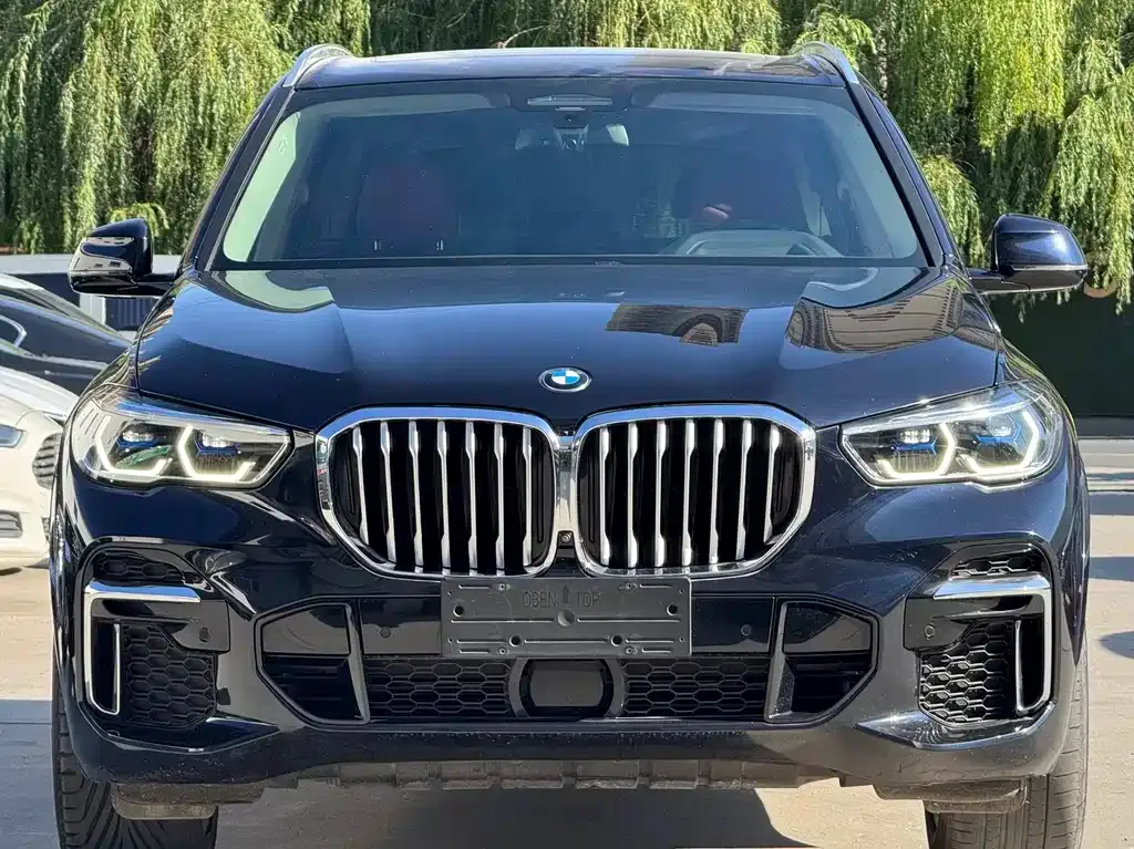 BMW X5 — фото 10