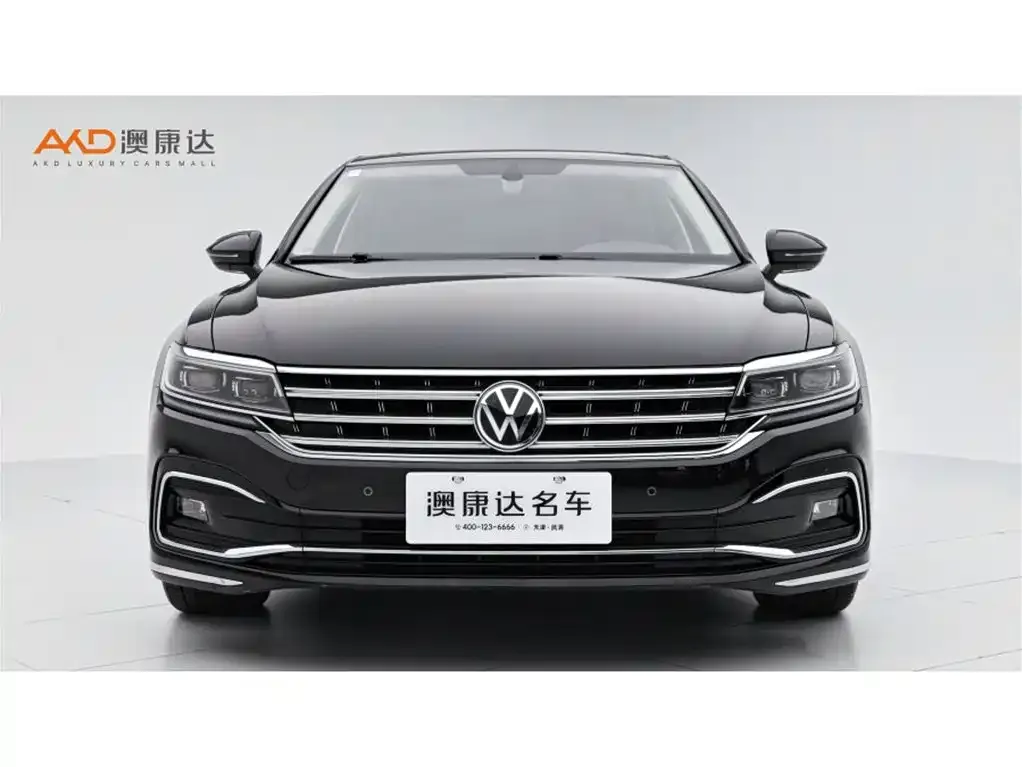 Volkswagen Phideon — фото 9