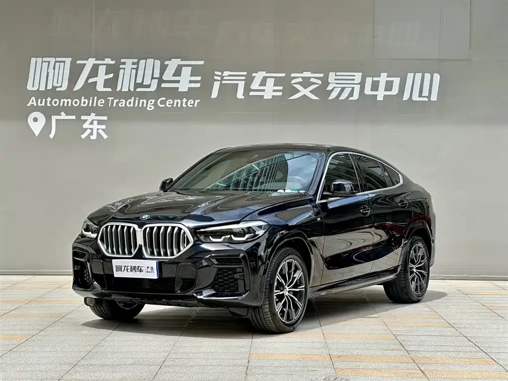 BMW X6 — фото 1