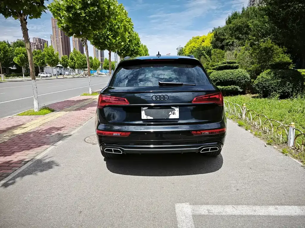 Audi Q5L 2024 из CN, фото 10
