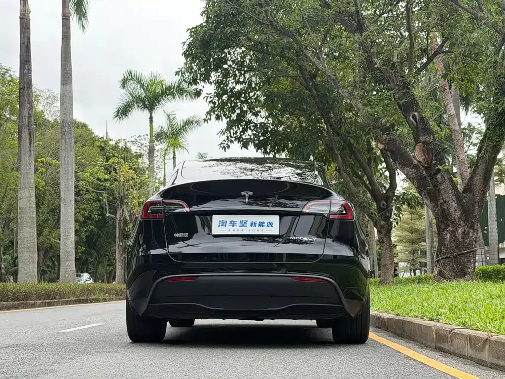 Tesla Model Y — фото 3