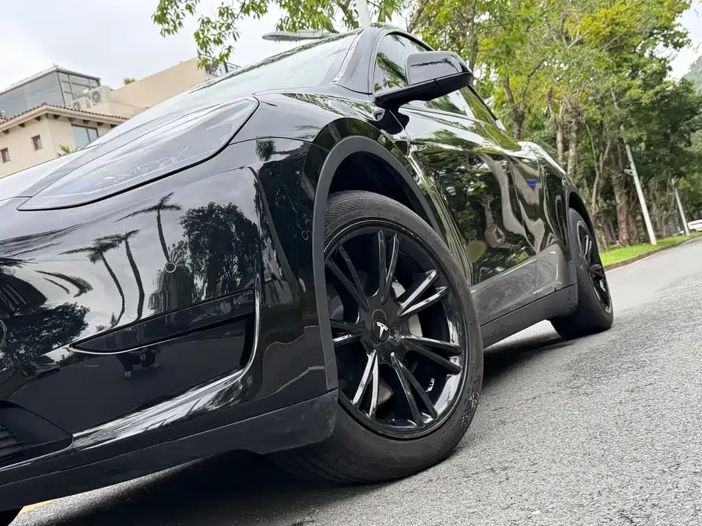 Tesla Model Y — фото 6