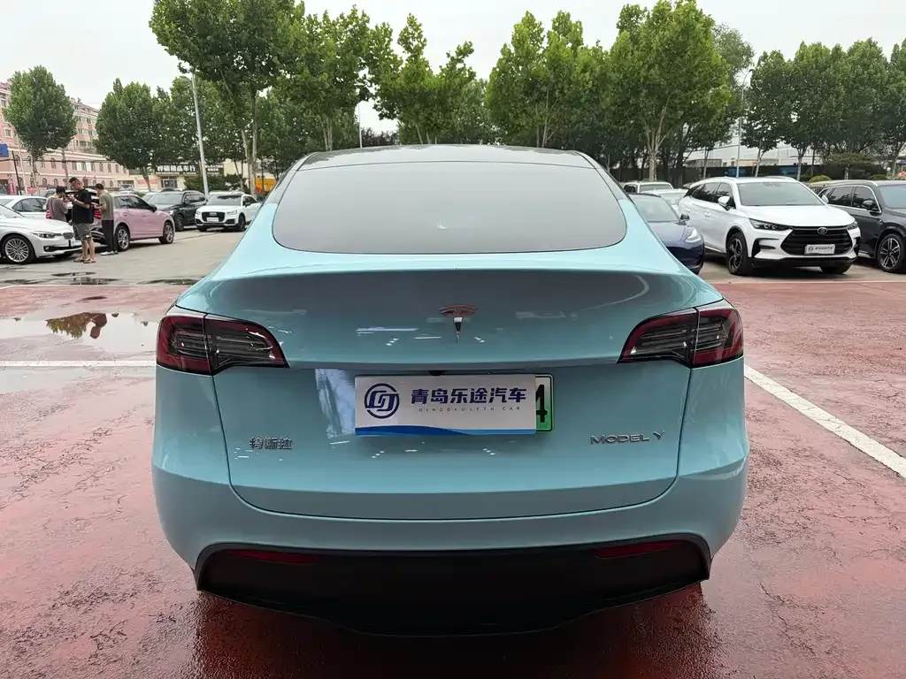 Tesla Model Y — фото 8