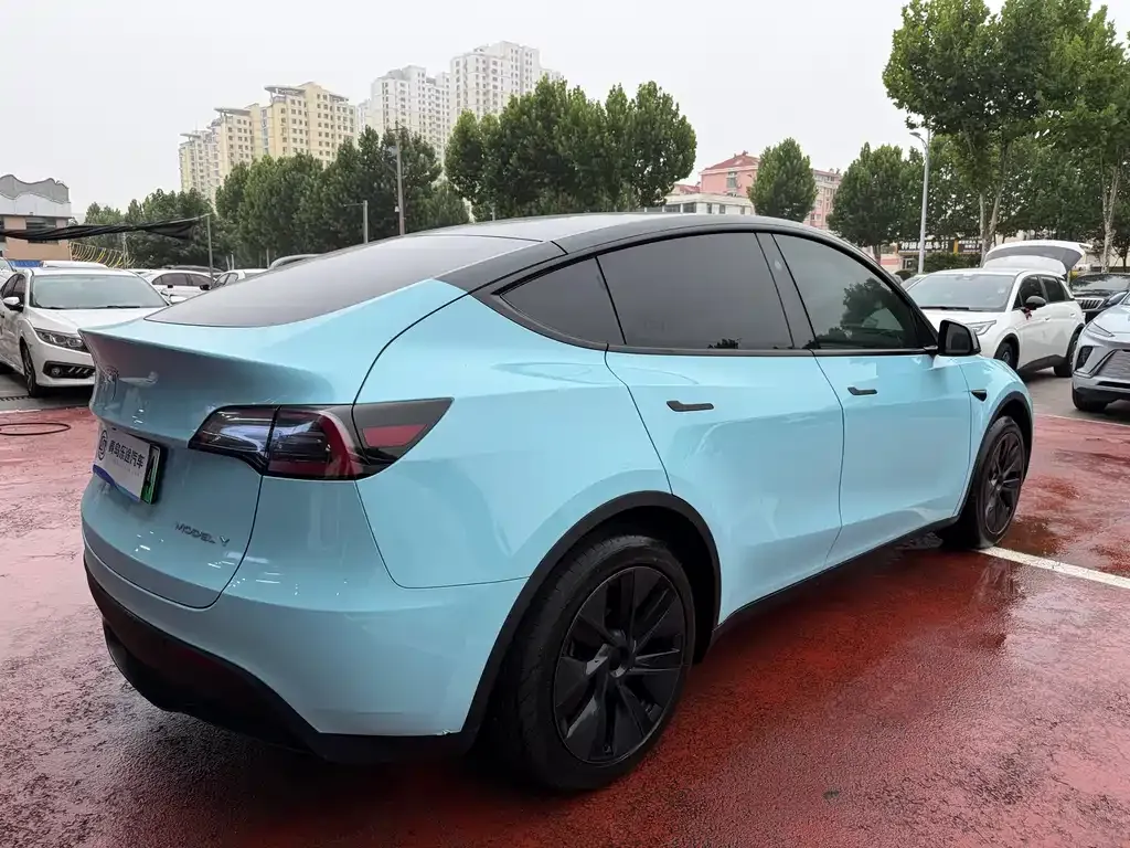 Tesla Model Y — фото 6