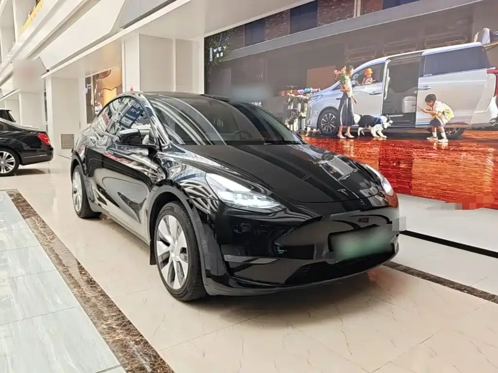 Tesla Model Y — фото 6