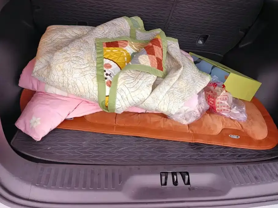 Ford Territory 2025 из CN, фото 2