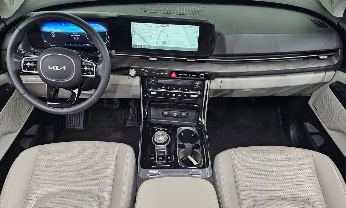 Kia Carnival — фото 10