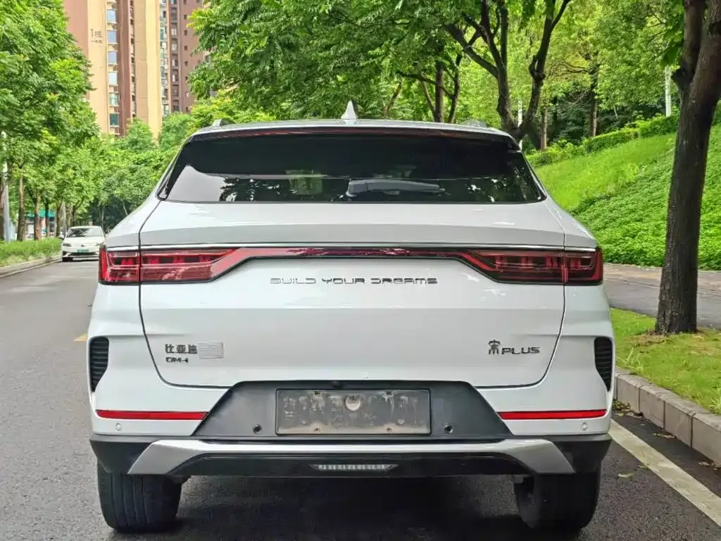 BYD PLUS New Energy — фото 6