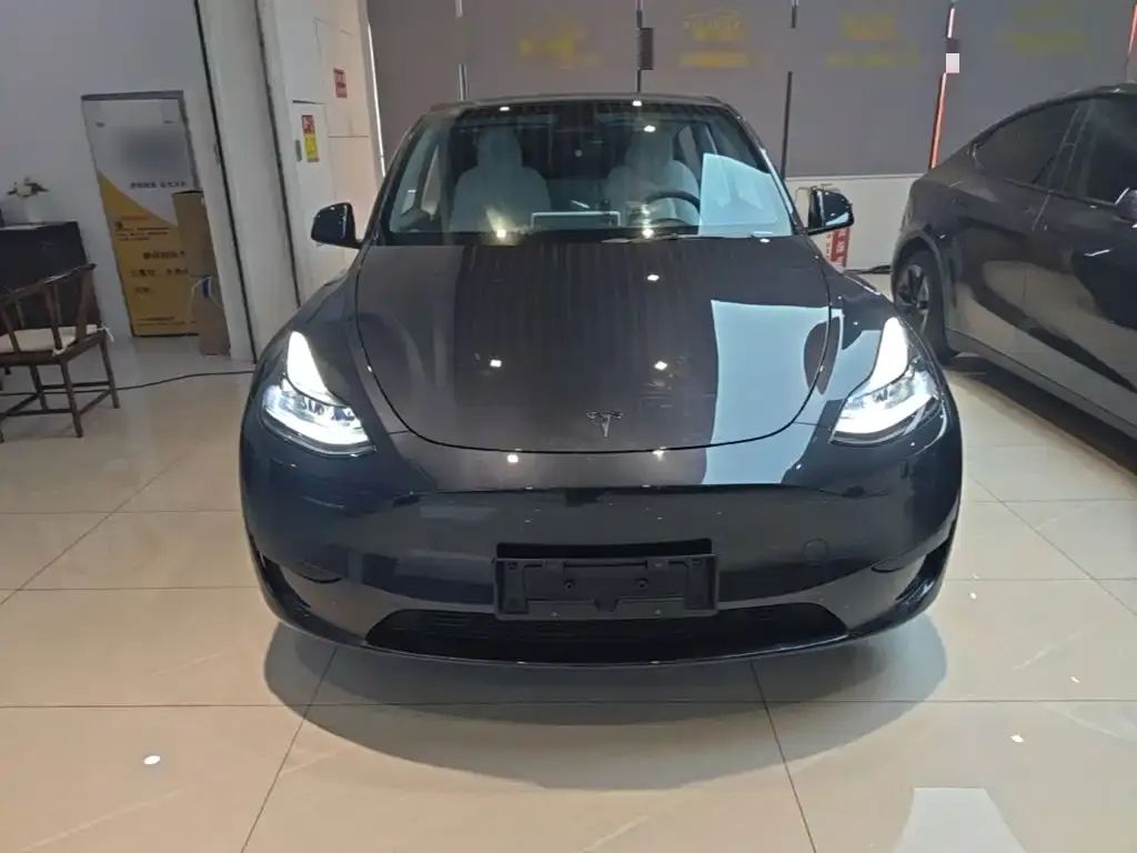 Tesla Model Y — фото 8