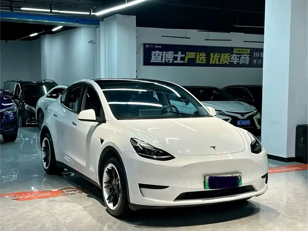 Tesla Model Y — фото 8