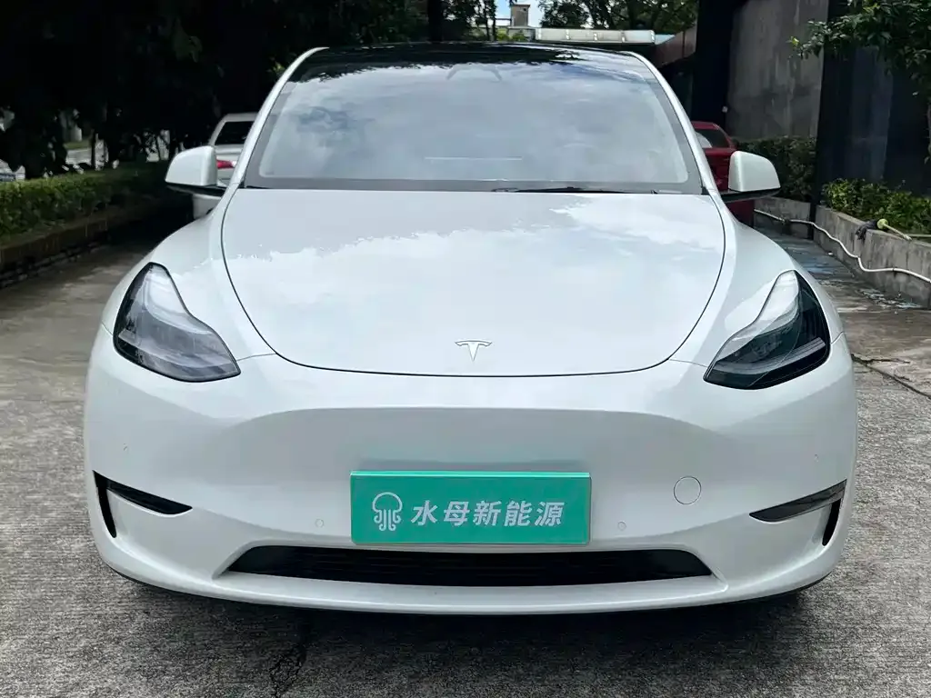 Tesla Model Y — фото 8
