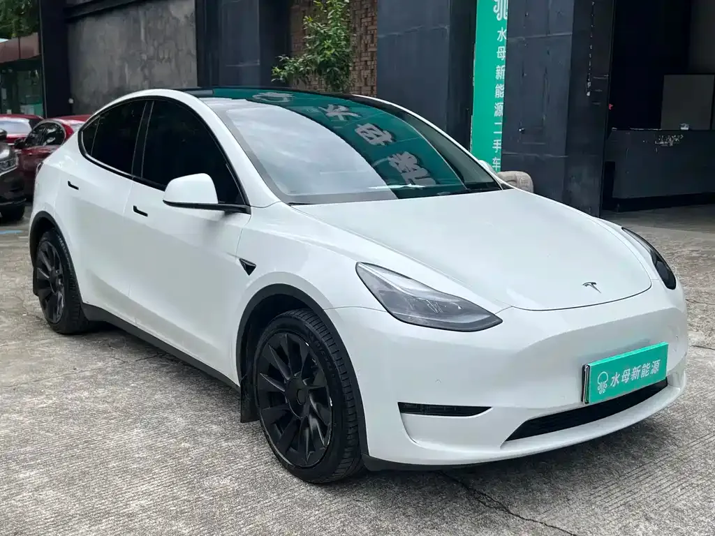 Tesla Model Y — фото 10