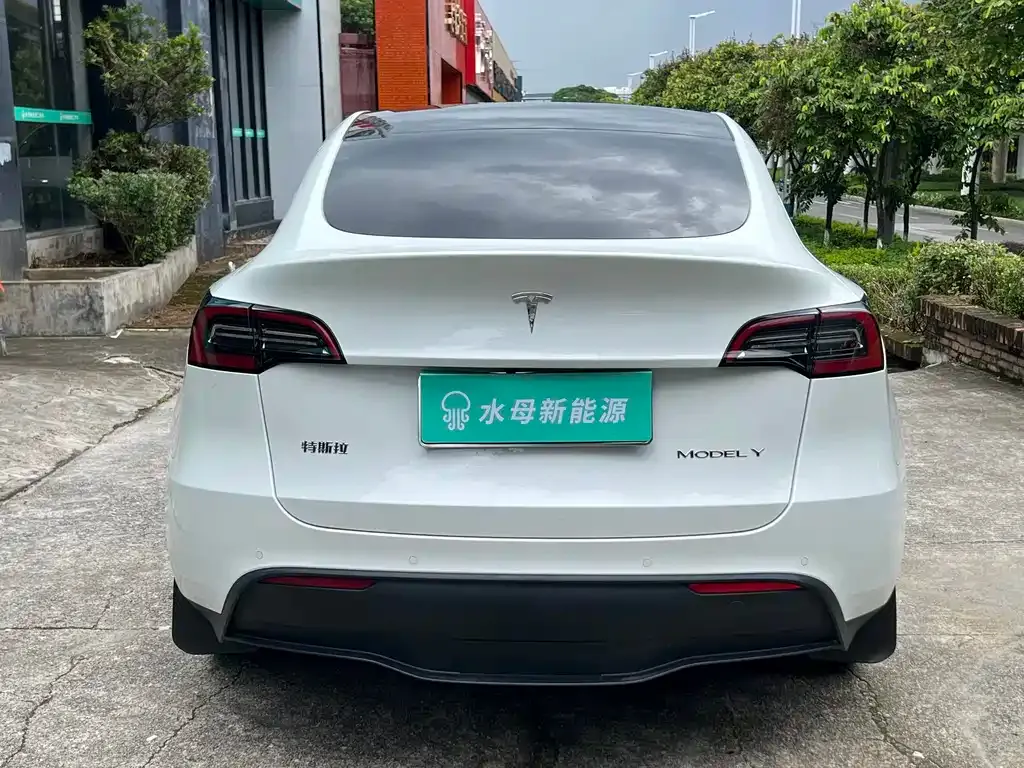 Tesla Model Y — фото 6