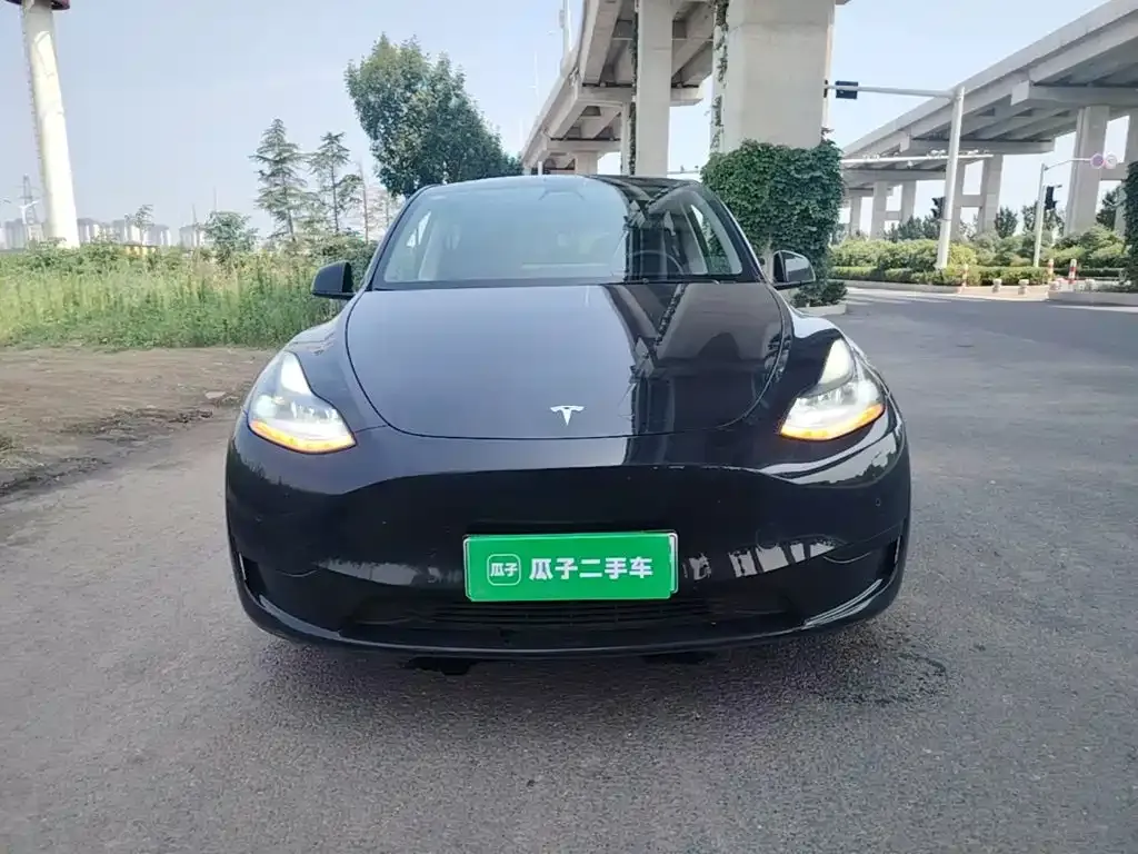 Tesla Model Y — фото 10