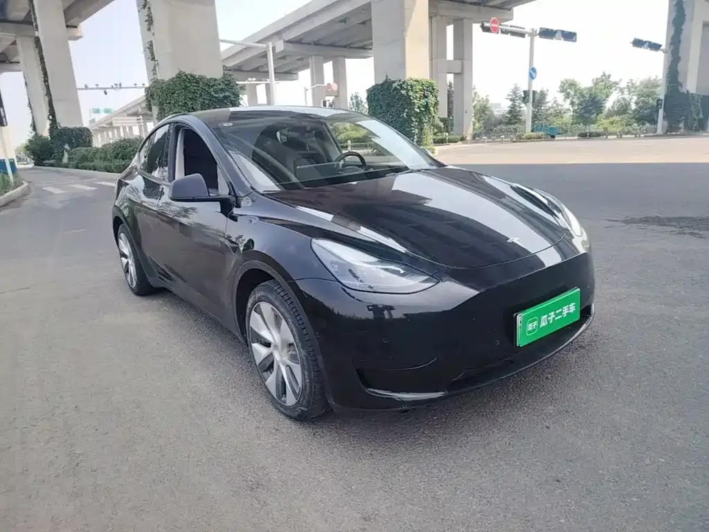 Tesla Model Y — фото 9