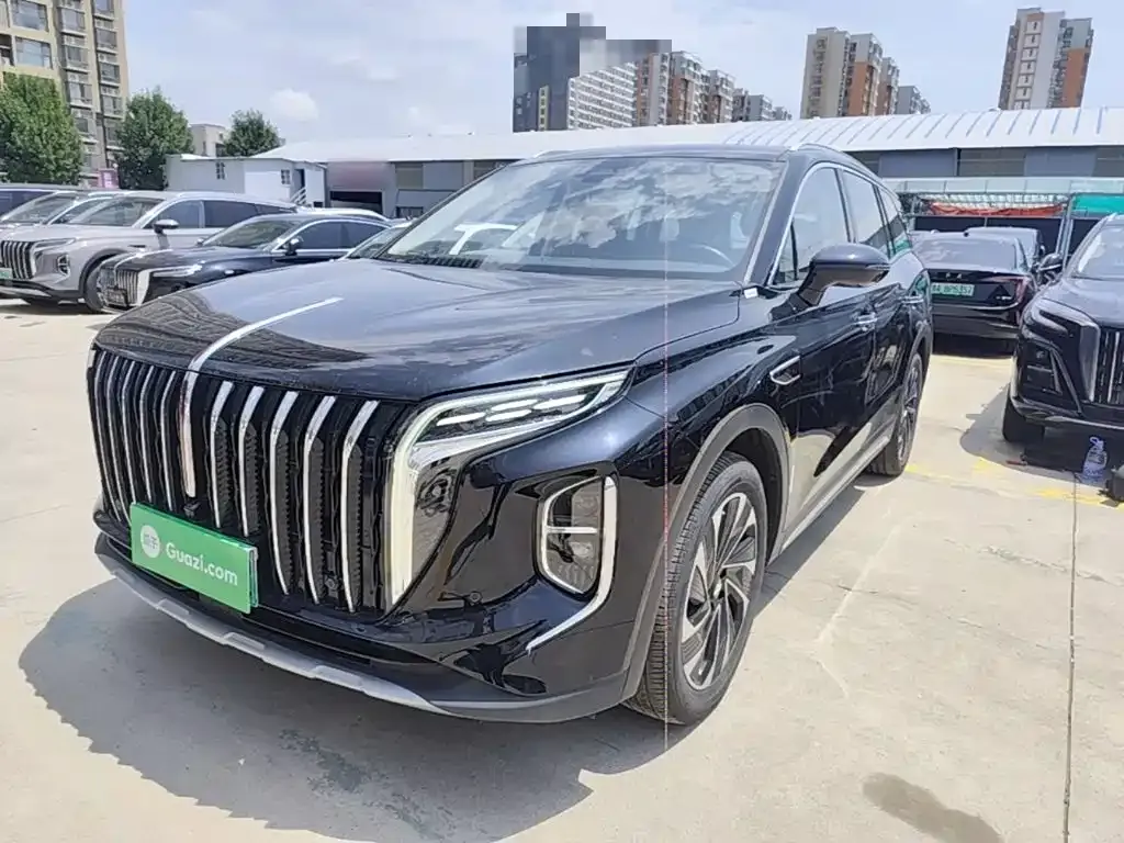 Hongqi HS7 PHEV 2024 из CN, фото 3