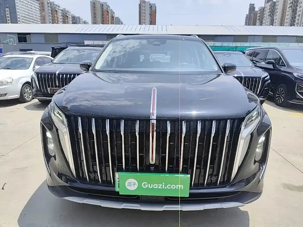 Hongqi HS7 PHEV 2024 из CN, фото 10